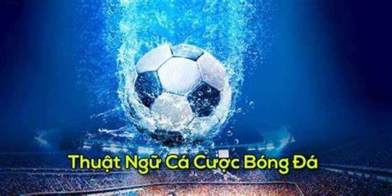 Thuật ngữ cá độ bóng đá là một phần không thể thiếu